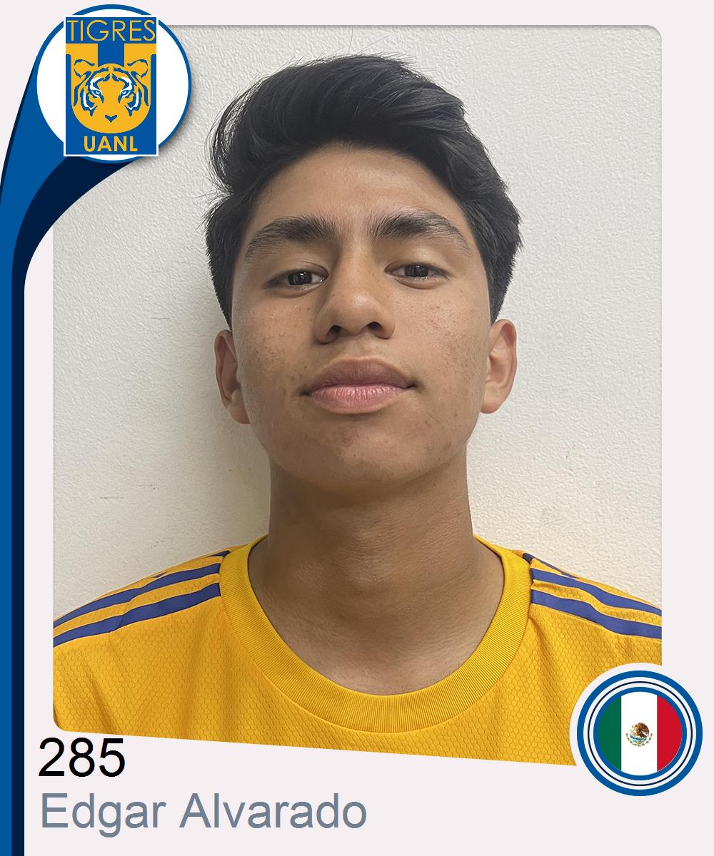 Edgar Emmanuel Alvarado Villa