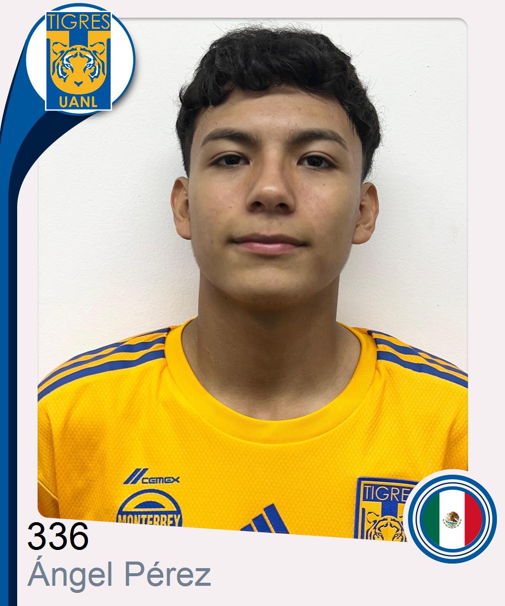 Ángel Abdiel Pérez Acosta